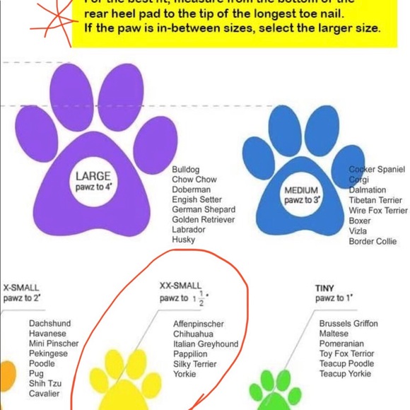PAWS XS Yellow 1 1/2” - Picture 7 of 9